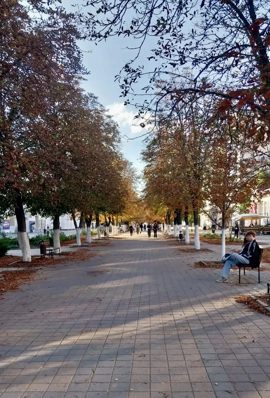 Ну всё, кажется, осень окончательно пришла в Шахты 🍂