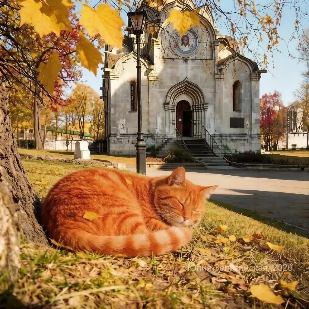 Пусть каждый греется в лучах Божьей любви! 🙏☀️
