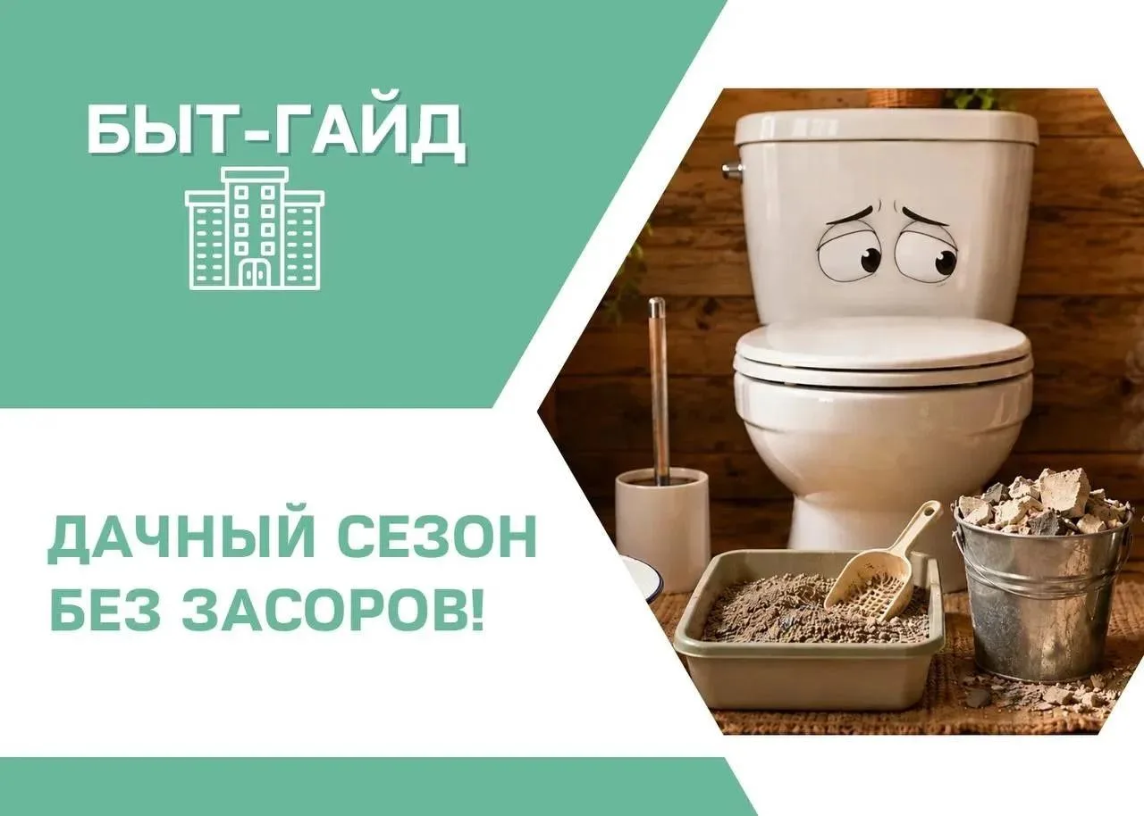 Наступило лето, а, значит, и дачный сезон! Пока поездки загород в самом разгаре, напоминаем вам прав