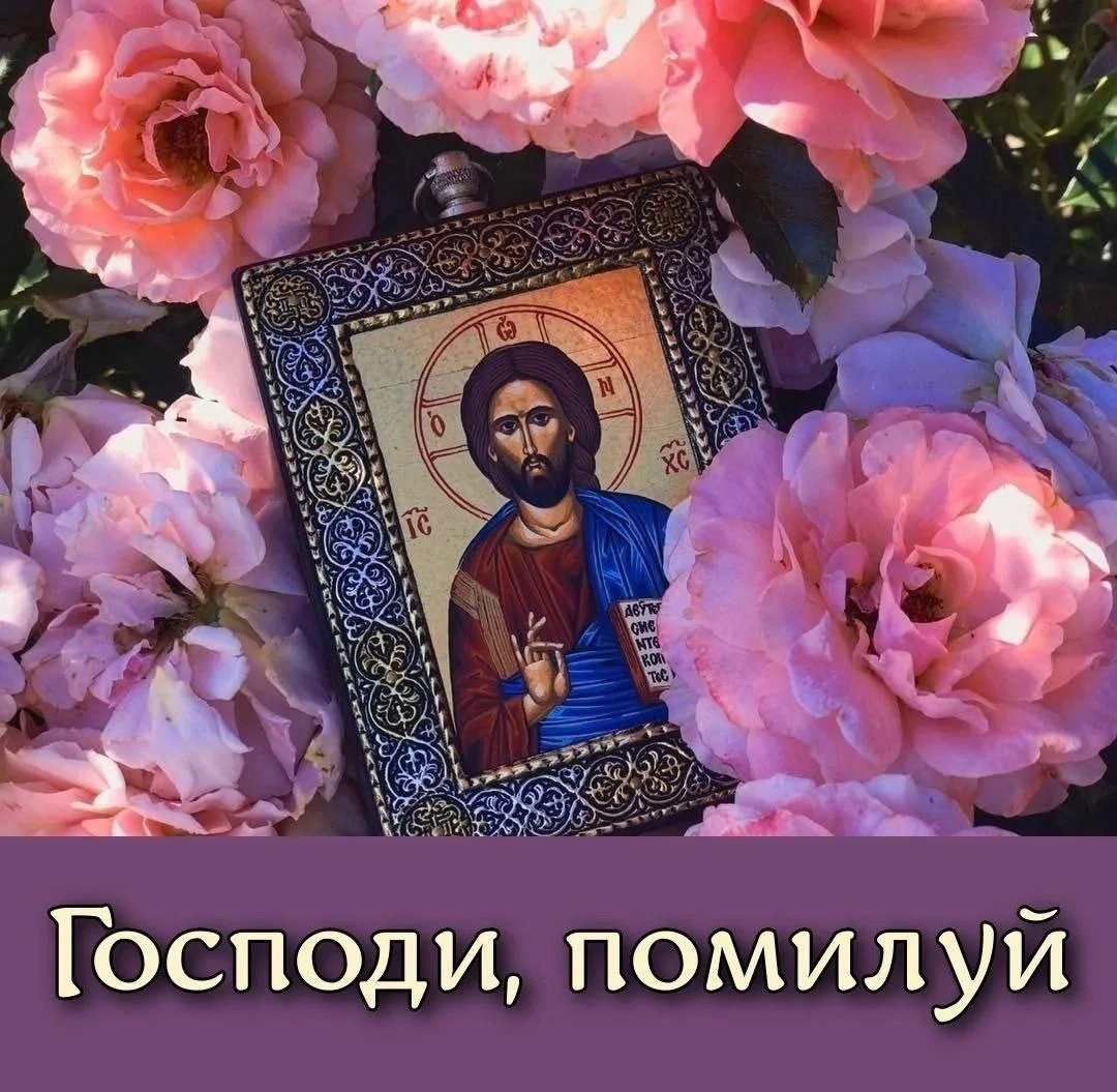 💙🔶🌸💙🔶🌸💙🔶🌸