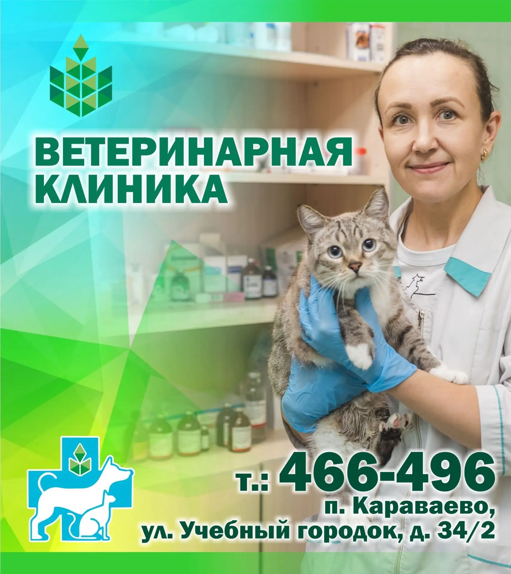 Приходи к нему лечиться...