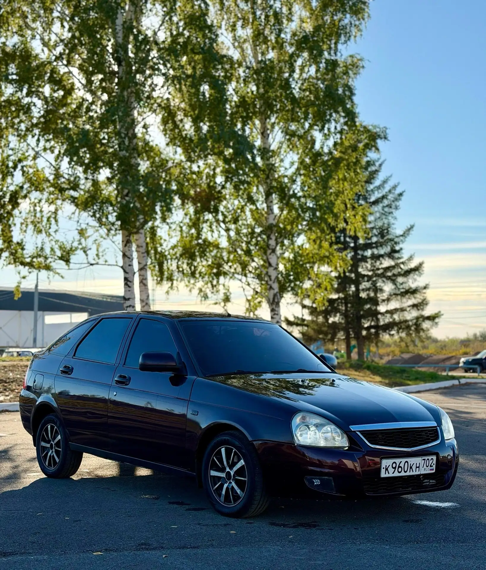 PRIORA 12г