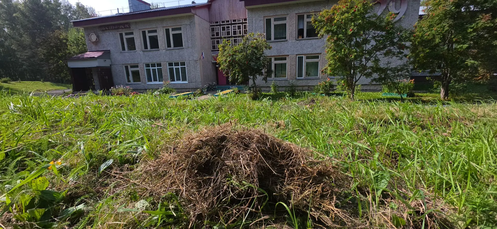 Уважаемые родители, дачники и любители природы!