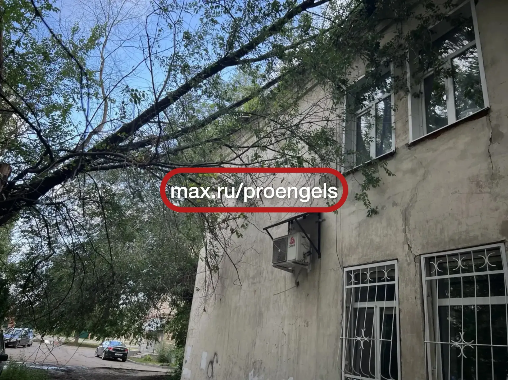 😐Рп Приволжский 2 квартал, д. 20. Ветка упала на крышу, не дозвонится никому!!! Администрация обрат
