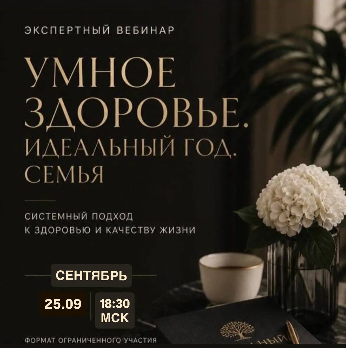 📣 ВНИМАНИЕ ‼️