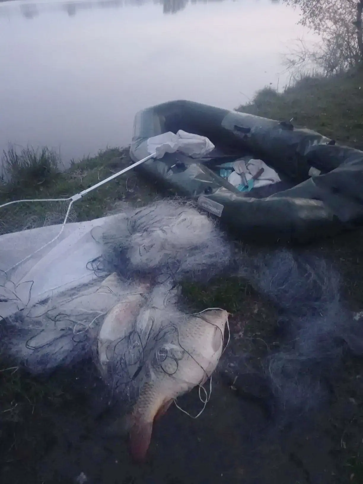 🐟 В Карачевском районе полицейские пресекли факт браконьерства

Факт незаконной добычи водных биоло