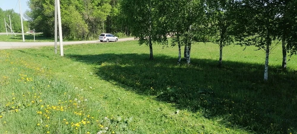 Скашивание травы, в доль улицы Советской, Красногорской сельсовет.