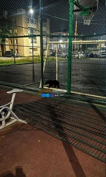 Забор рухнул на ребёнка на детской площадке