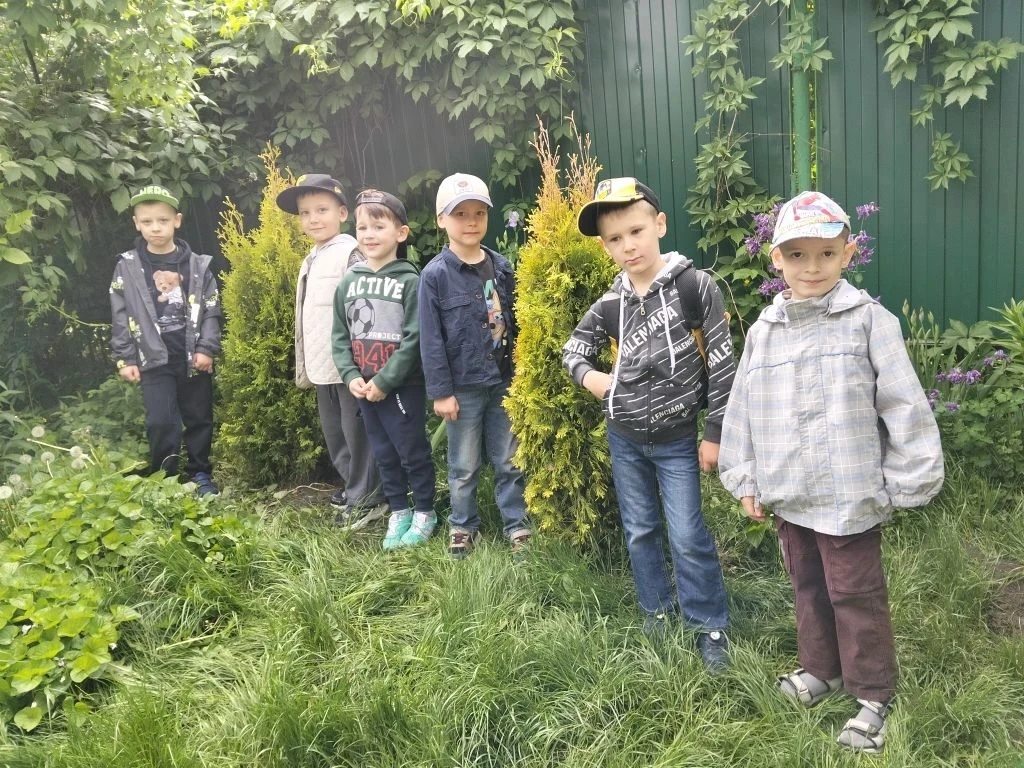 На этой неделе родители воспитанника группы 8 "Буратино" Смарщек Фёдора подарили детскому саду туи. 