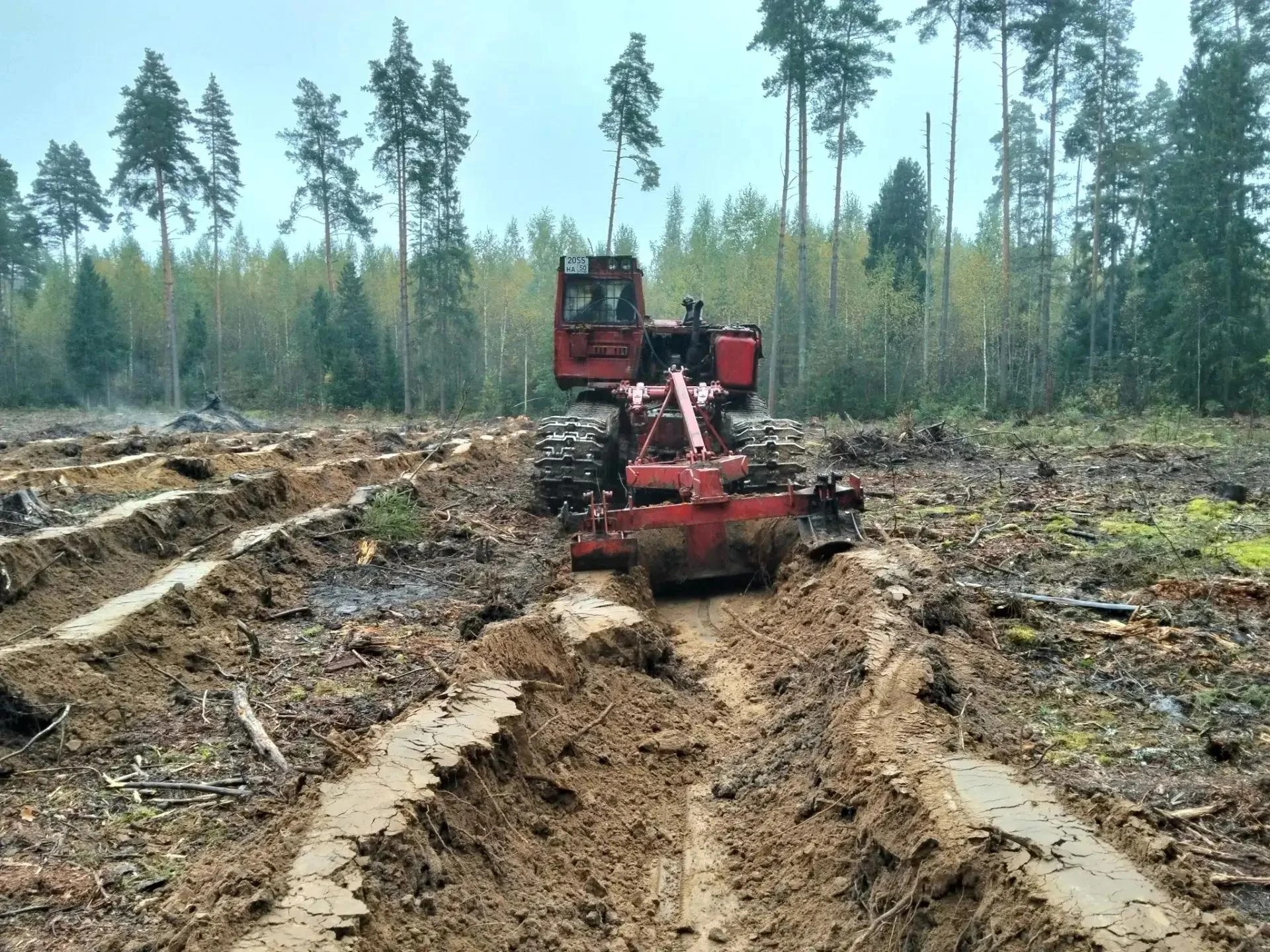 🌲 В Шатурском лесничестве готовят почву под будущий лес
