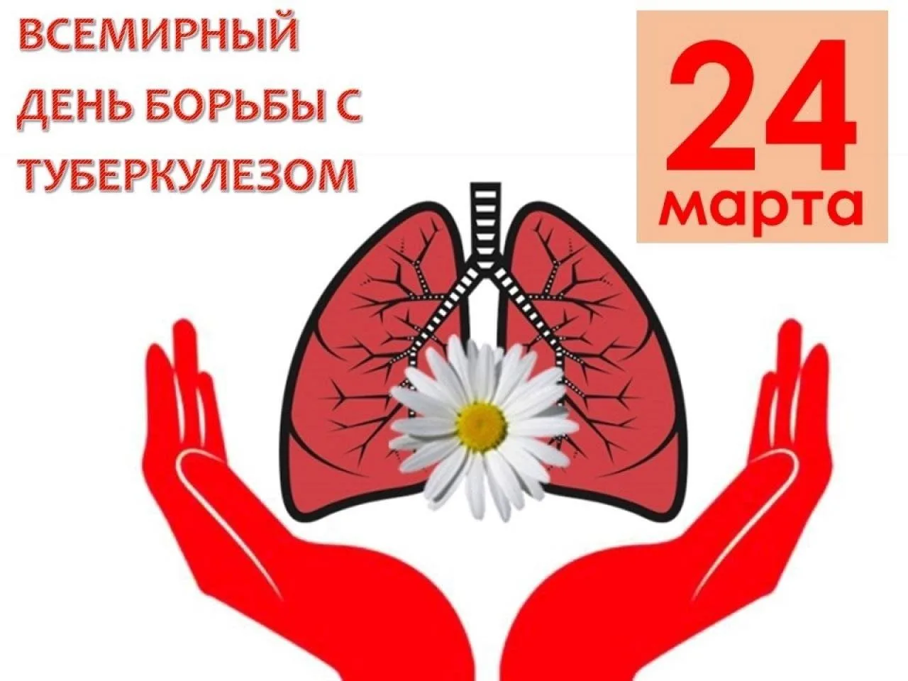 Всемирный день борьбы с туберкулезом.