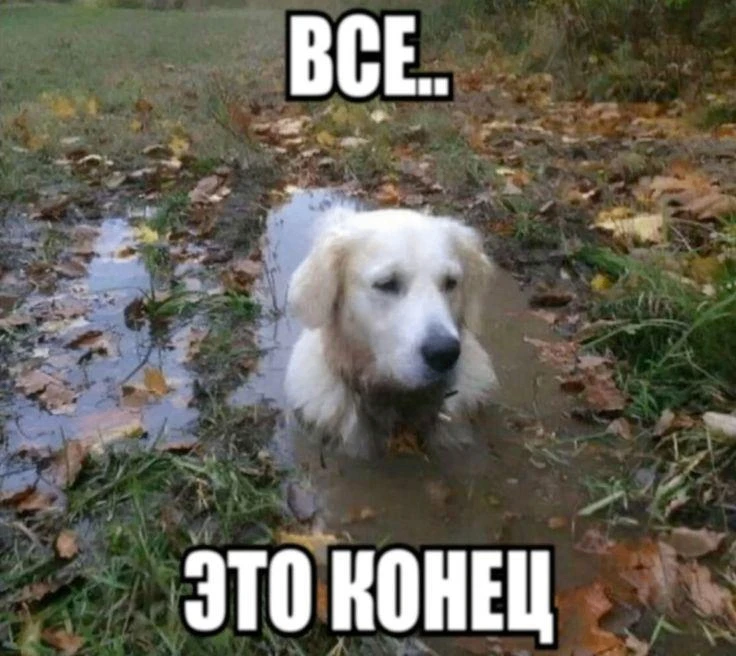 Пастор из Африки предсказал конец света в ближайшие дни.