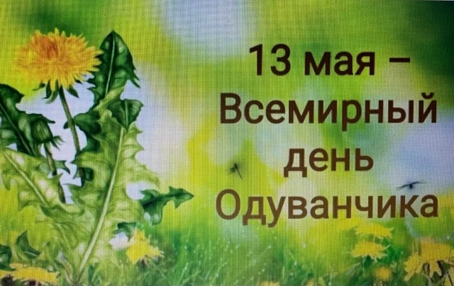 Одуванчики цветы