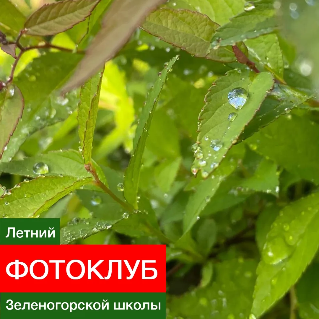 ✅ КОГДА МЫ ФОТОГРАФИРУЕМ ПРИРОДУ, ИЛИ ЖИВОТНЫХ, ТО УРОВЕНЬ КОРТИЗОЛА СНИЖАЕТСЯ!🏞

‼️ Каждую среду с
