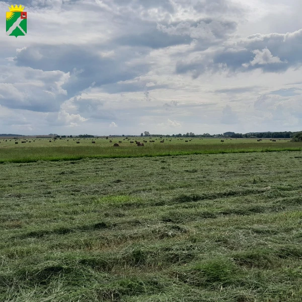 🚜 Аграрии округа продолжают активную работу по заготовке кормов и уборке урожая.