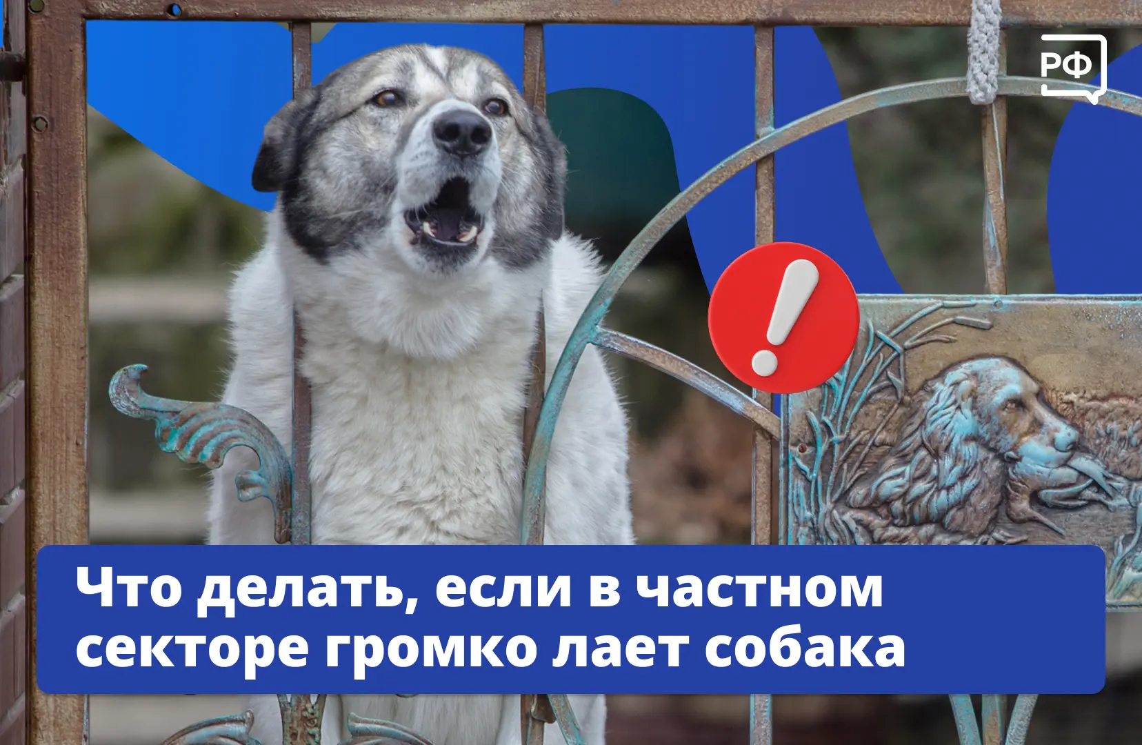 🐕 Собака в частном доме — дело привычное. И сторожит, и голос подаёт, если приходит чу...
