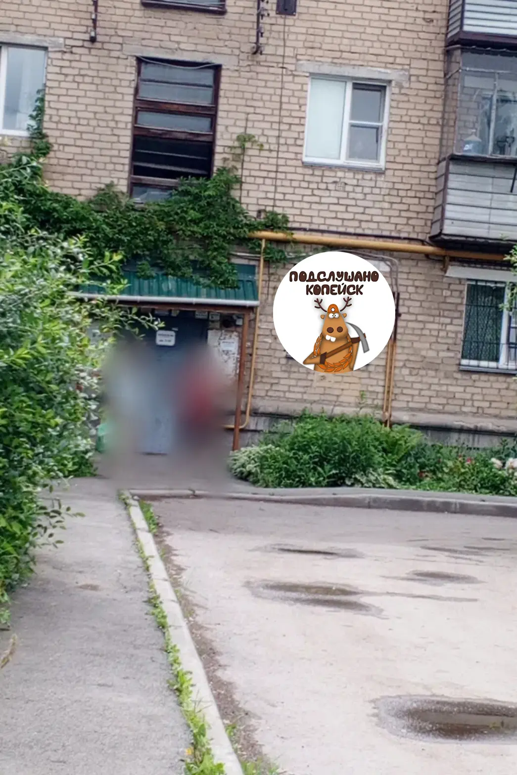 📌Вчера в Копейске мы увидели цветок, хотели сфоткать, а в окно постучала бабушка, сказ...