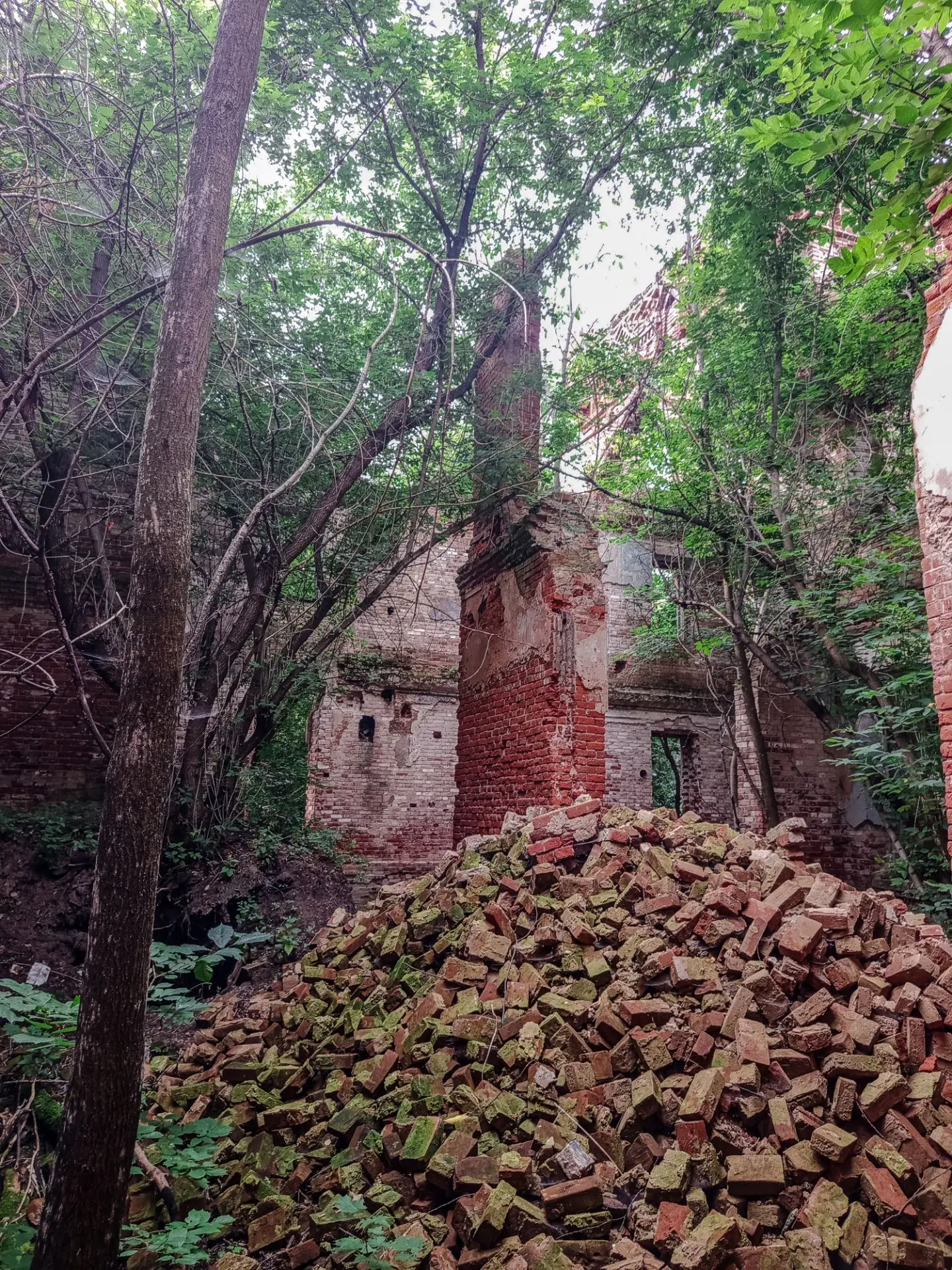 🏰 Усадьба Оболенских в Красной Горке: 5 фактов, которые стоит знать 🏰
