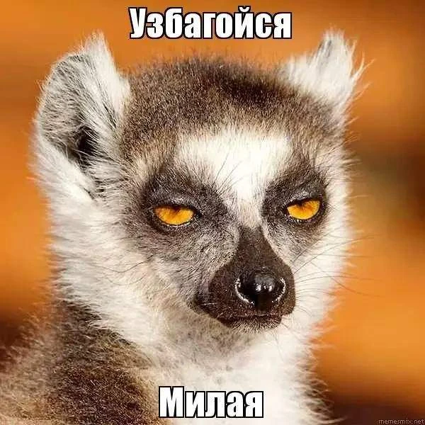«Встал - уже устал». Где разница между ленью и настоящими провалами в здоровье вашего о...