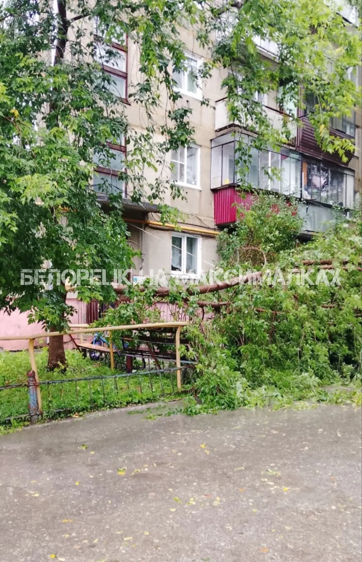От подписчика в бот: