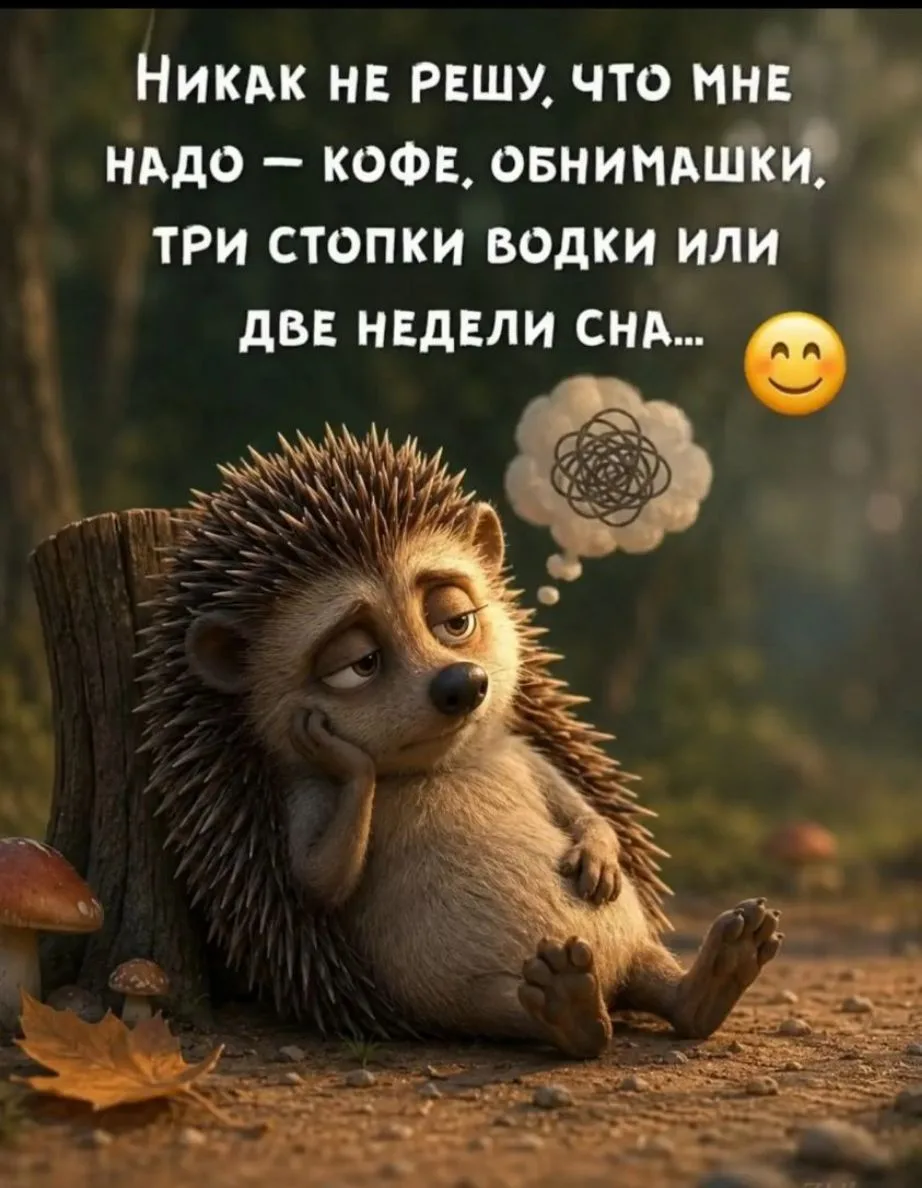 Дилемма... 😄