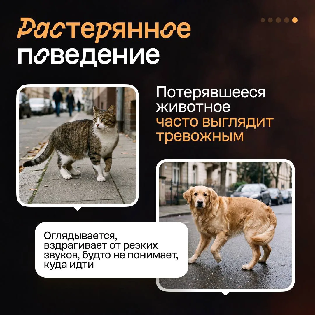 Изображение 6 к публикации «Авито для бизнеса»