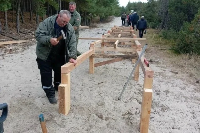 НА КУРШСКОЙ КОСЕ ОБНОВЛЯЮТ НАСТИЛ НА ТРОПЕ У ОЗЕРА ЛЕБЕДЬ
