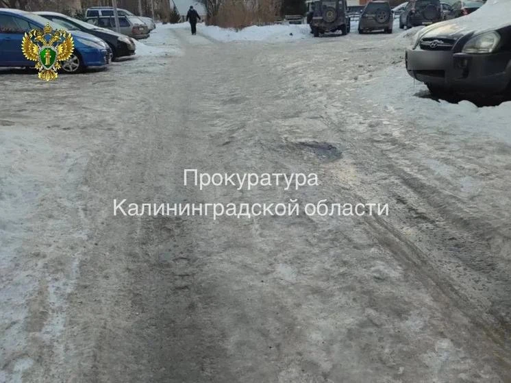 Управляющая компания в Светлогорске заплатит 60 тысяч рублей ребенку, который получил  ...
