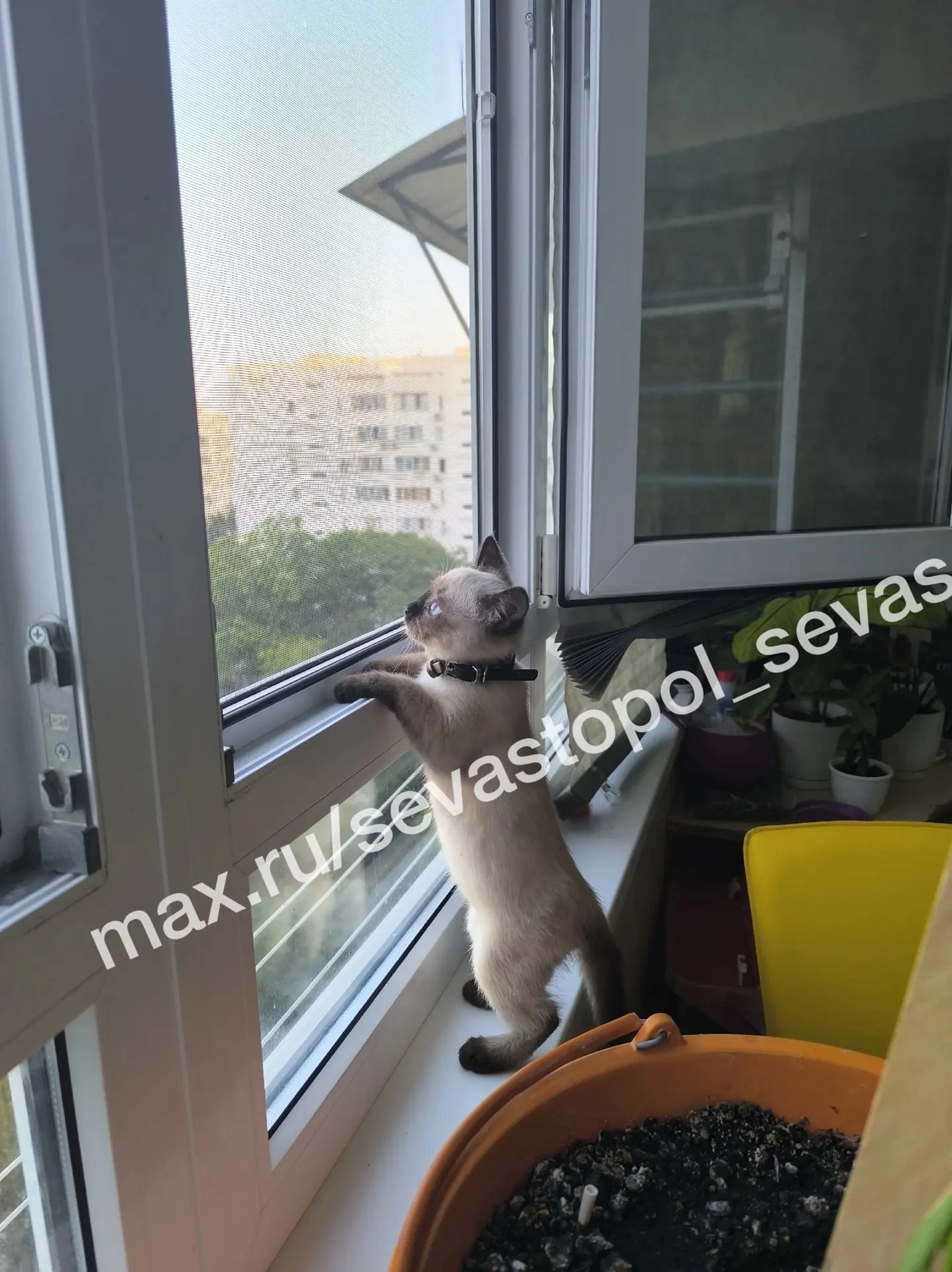 🍉 Последний день этого лета. Как и не бывало.