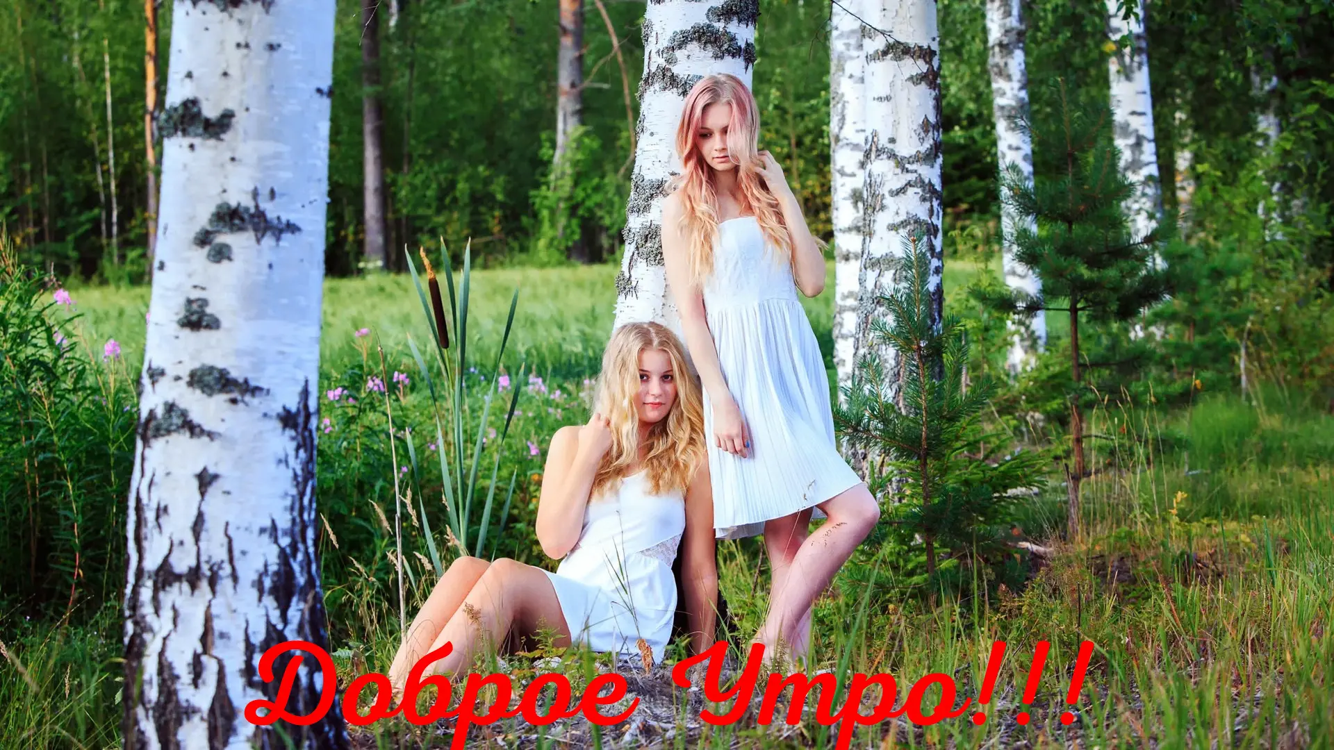 Доброе Утро!
