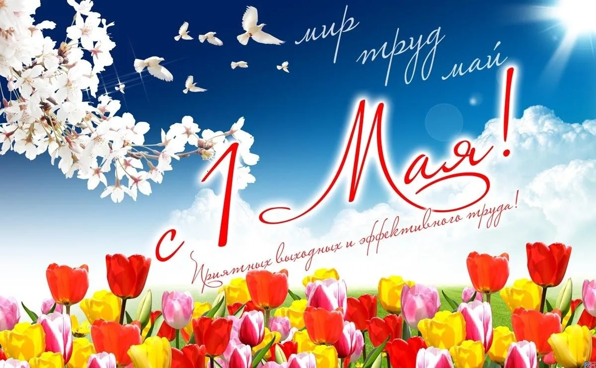 С праздником 1 Мая дорогие друзья!