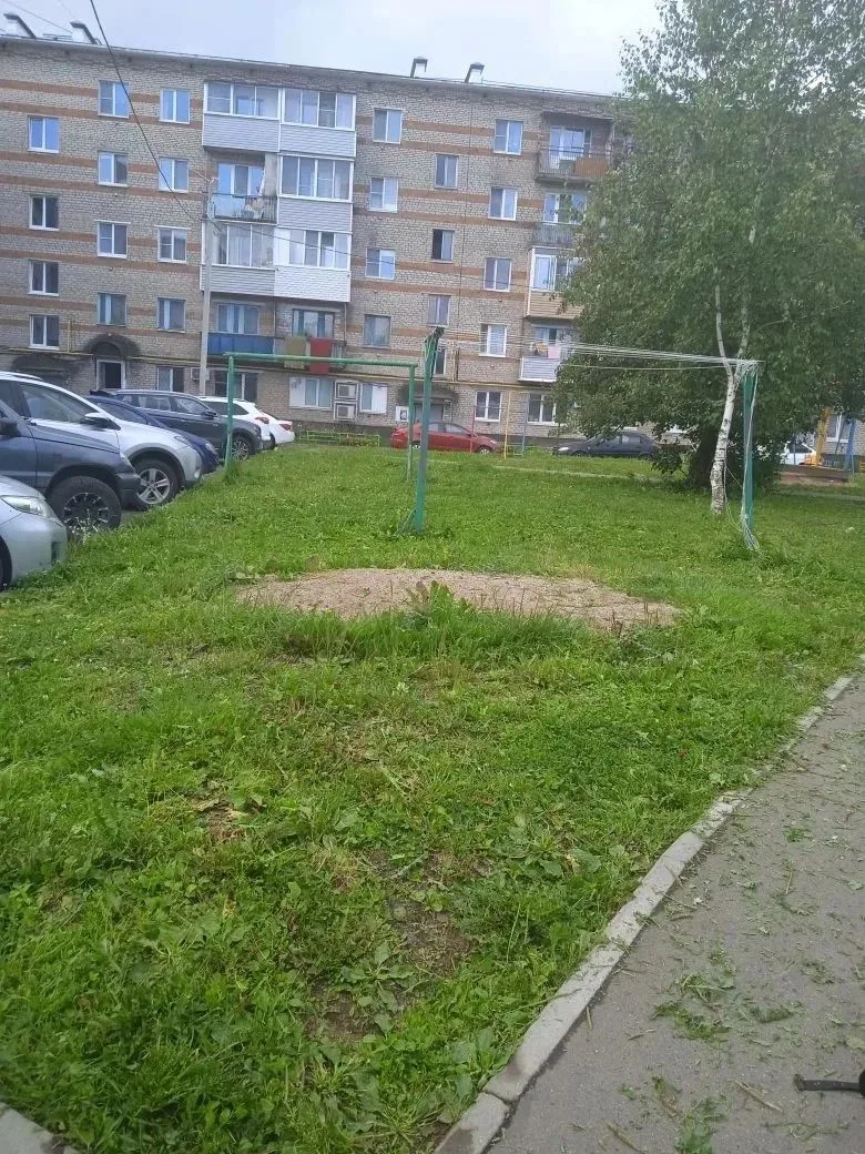 Покос придомовой территории по адресу: ул. Гагарина, д.3
