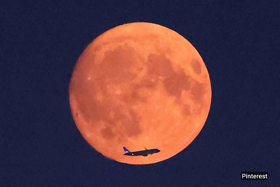 🌔 Жители Тамбова смогут увидеть «Осетровую Луну» и лунное затмение