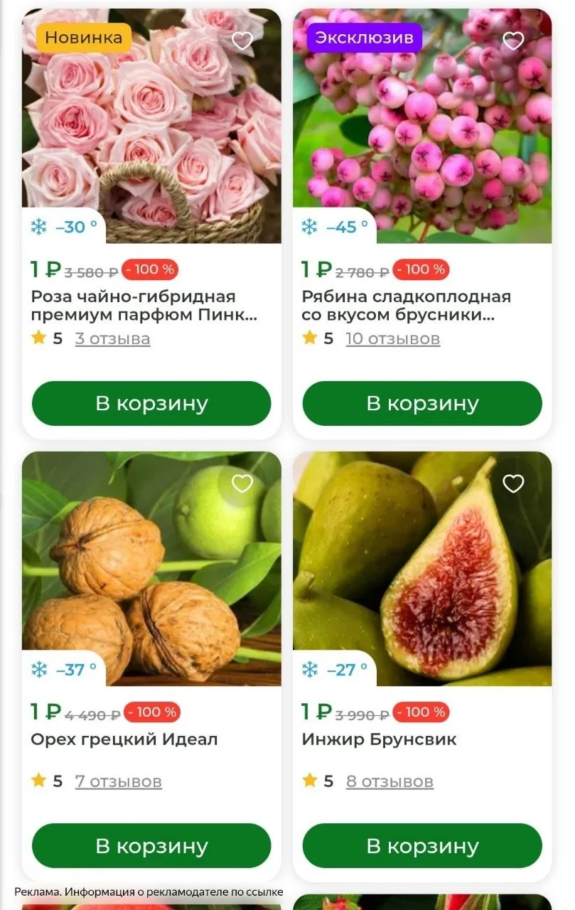 ‼️Обновили раздел с саженцами за 1₽