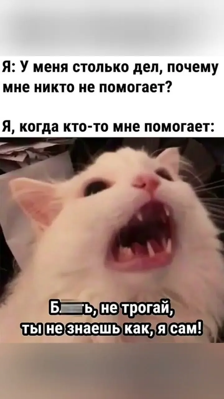 #юмор #приколы #мемы