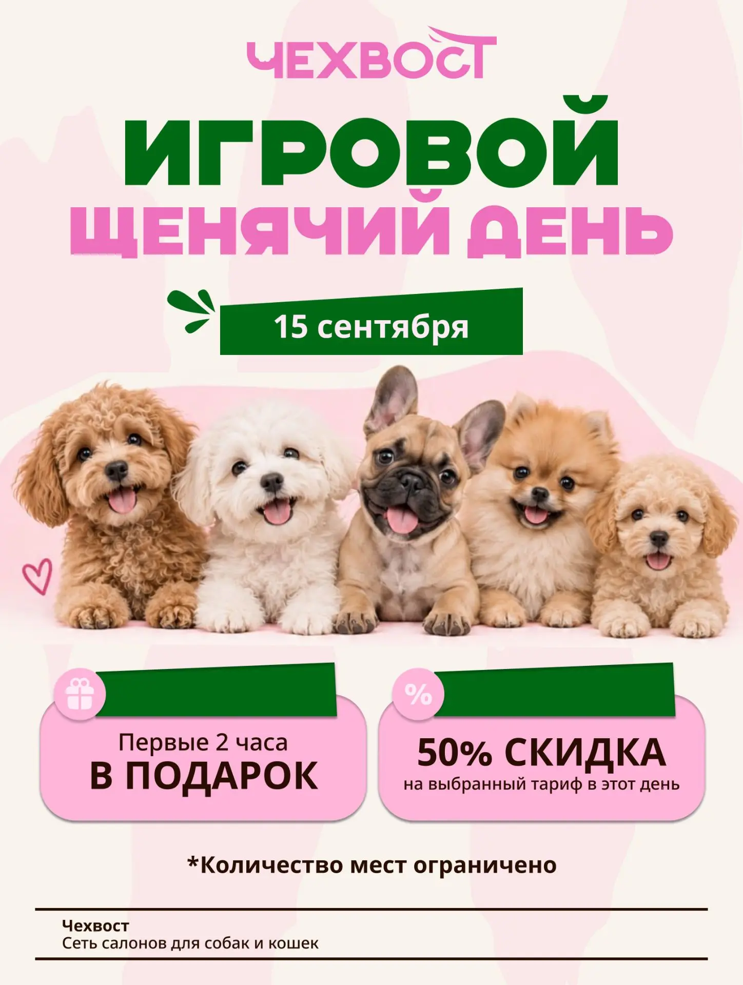 15 сентября приглашаем щенков на мягкое знакомство с нашим садиком.