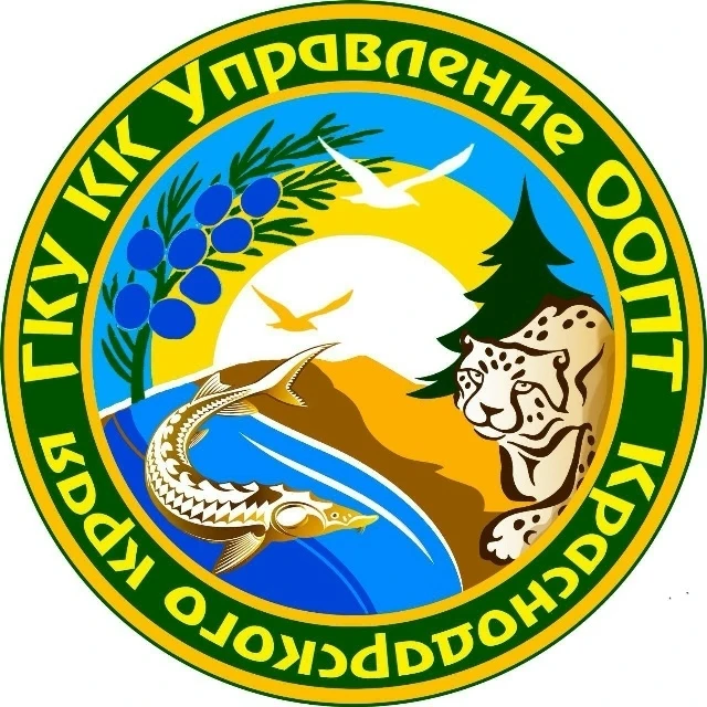 🌱ЭКОЛОГИЧЕСКАЯ АКЦИЯ