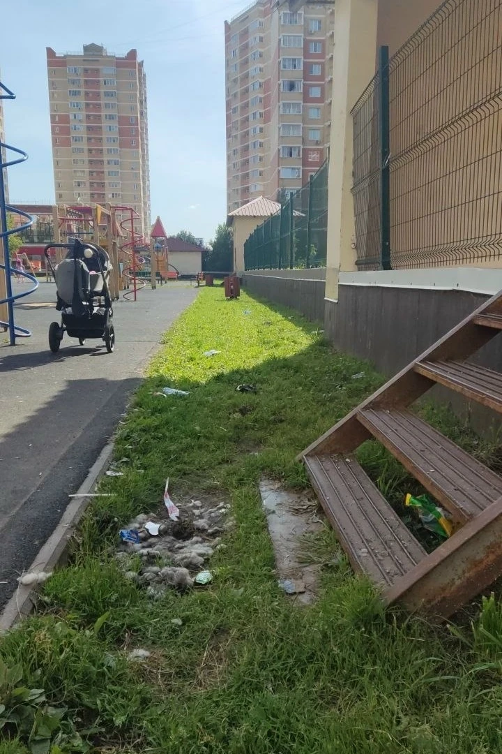 Сколько же у нас маленьких поросят... Площадка между 16 и 19 домами засрана и поломана�...