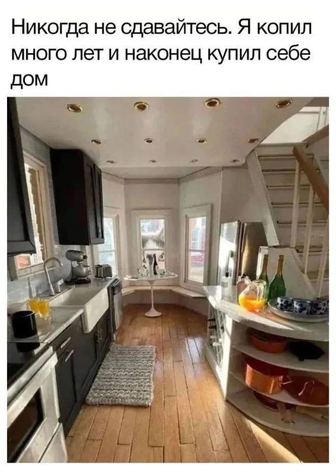 На огромного кота внимание не обращайте 👀

🔥Che