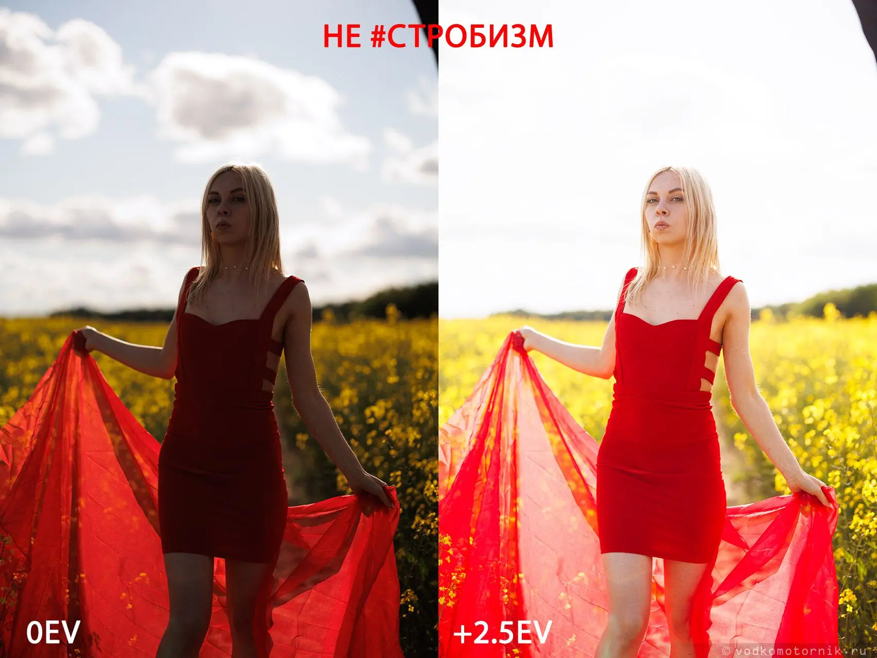 Почему на пленэре решает не камера, а свет?