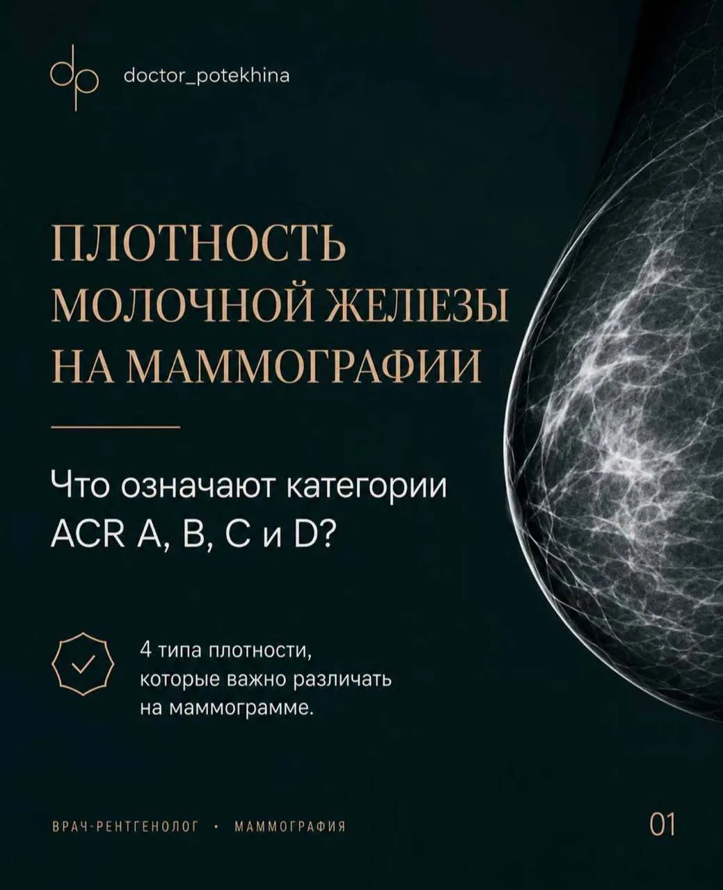 Плотность молочной железы на мамографии