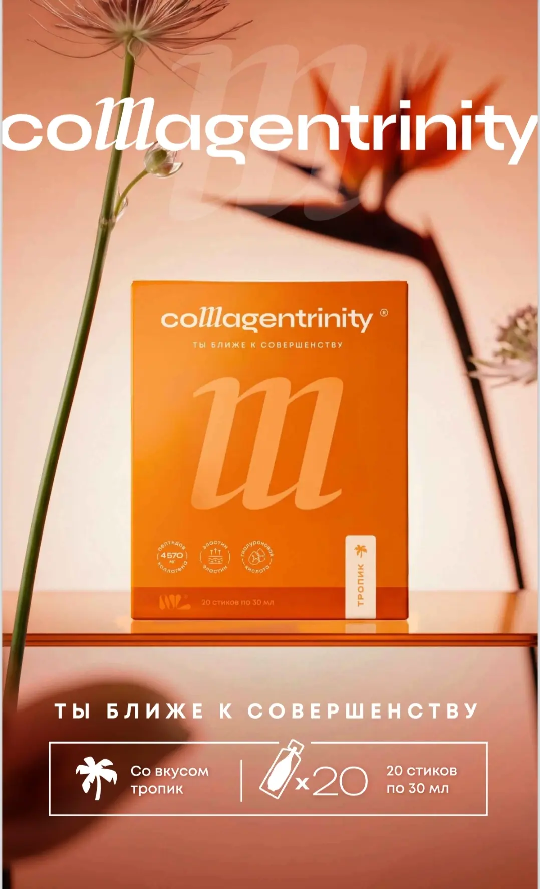 Collagentrinity® («Коллагентринити») «Тропик»: если не успеете — потом будете искать