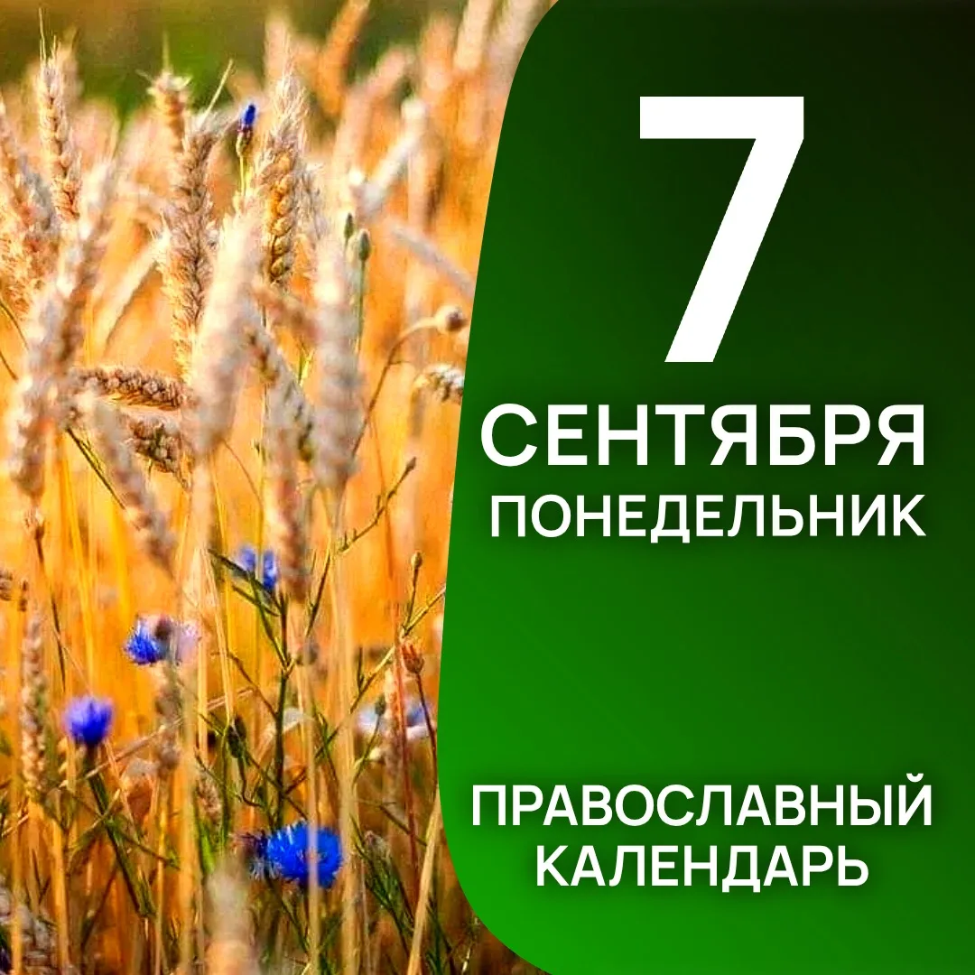 Календарь дня