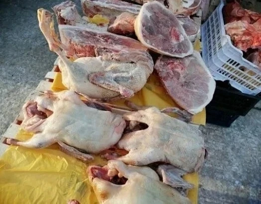 ⚠️ Опасность покупки продуктов на улице (стихийная торговля)

Покупка продуктов в необорудованных ме