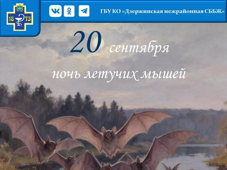 Мифы о бешенстве: что важно знать