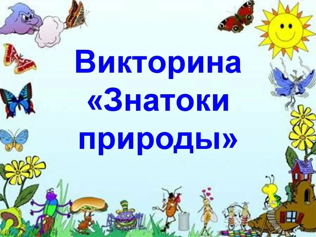 🌈🌍5 июня ежегодно отмечается Всемирный день охраны окружающей среды . Окружающая среда — это всё, 