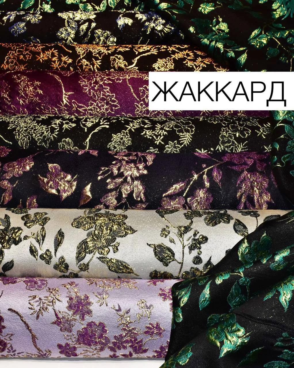⭐️ЖАККАРД⭐️