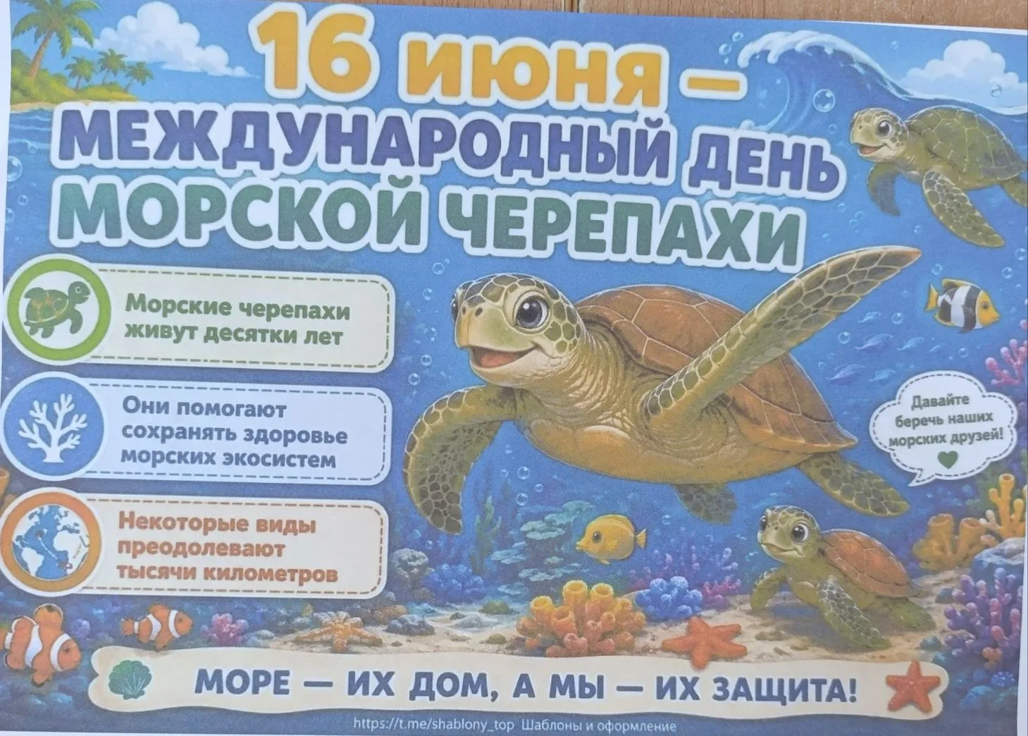 🌍 Сегодня — Международный день черепахи! Мы не просто отметили праздник, а ещё раз вспомнили, как в