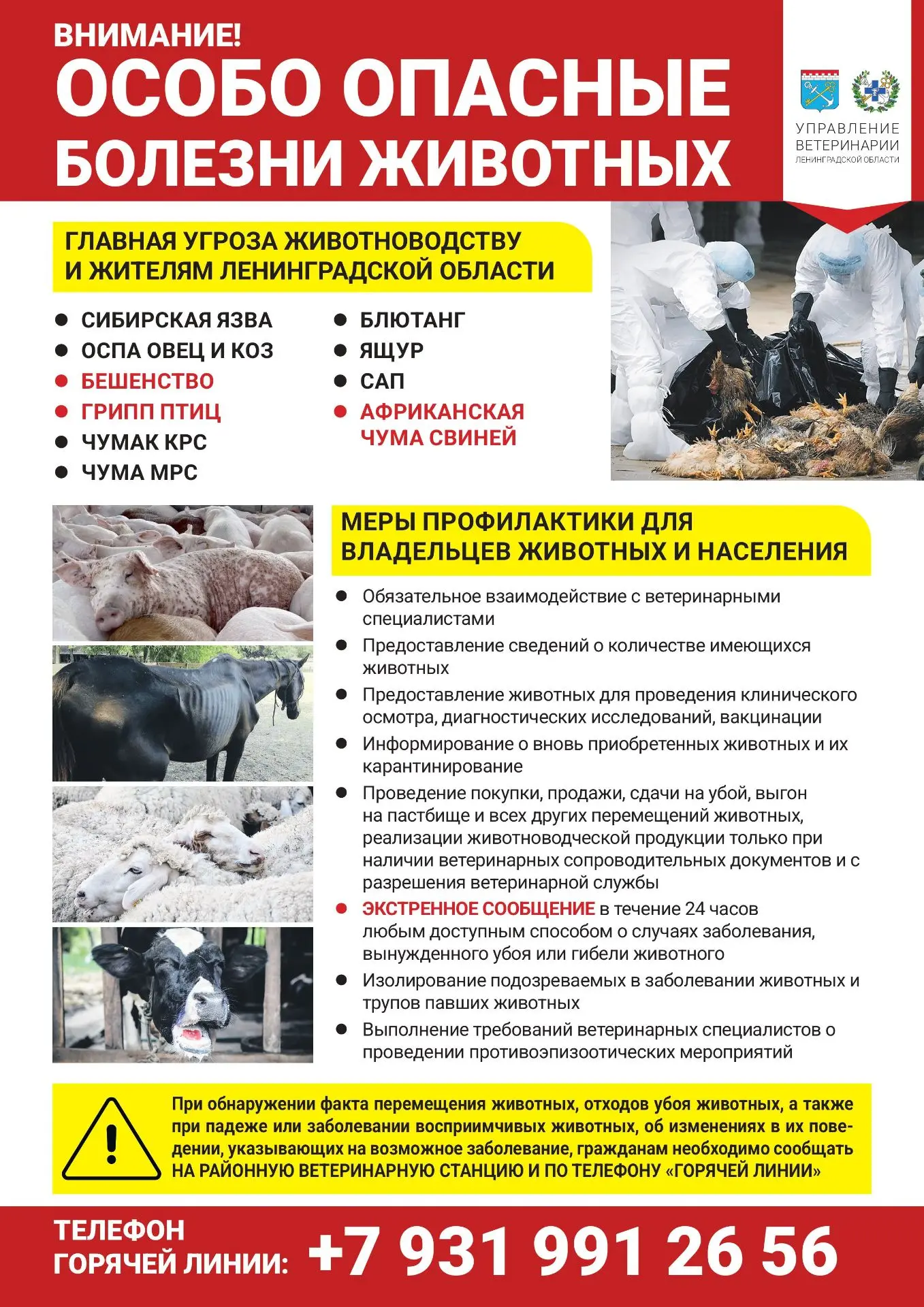 Управление ветеринарии Ленинградской области подготовило памятки по особо опасным болез...