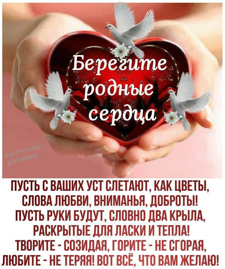 Галерея Открыток